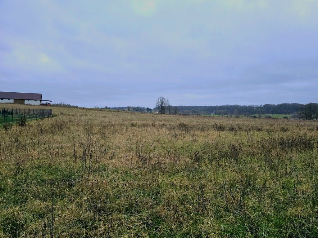 Działka budowlana na sprzedaż Kolbudy  1 030m2 Foto 3