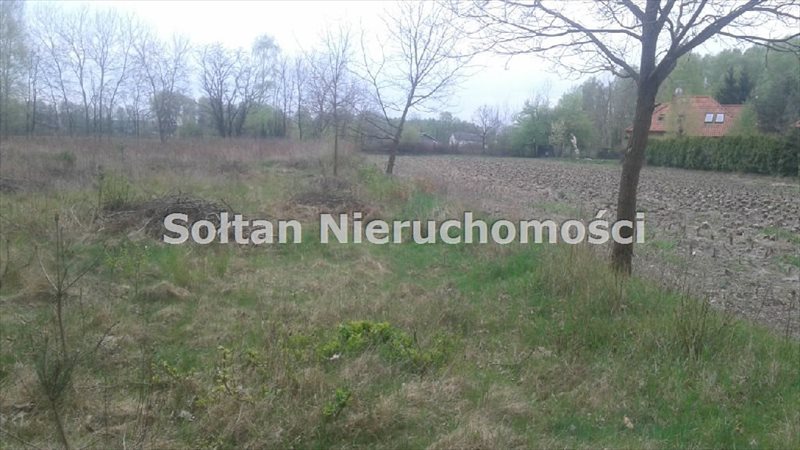 Zdjęcie 5