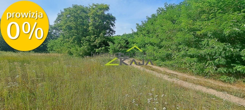 Działka siedliskowa na sprzedaż Nowe Biskupice  27 700m2 Foto 1