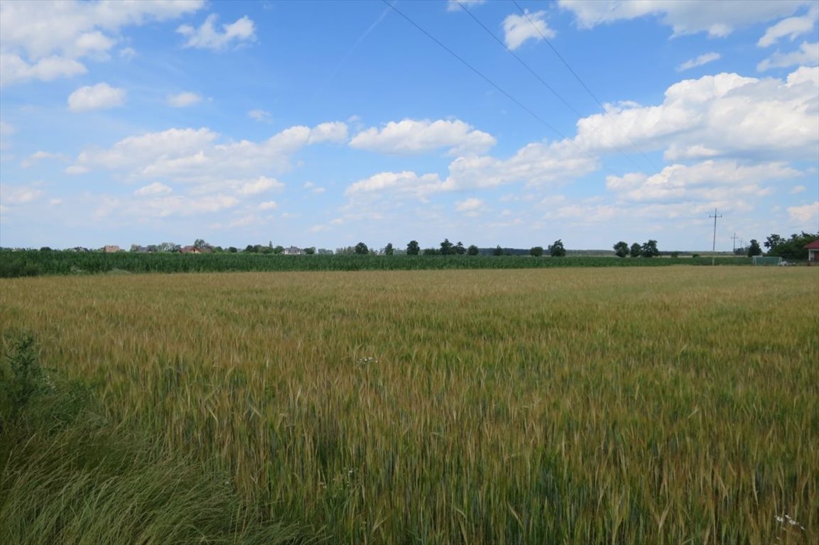 Do sprzedania działka budowlana 1000 m² z mediami w drodze Nieciszów  1 000m2 Foto 1