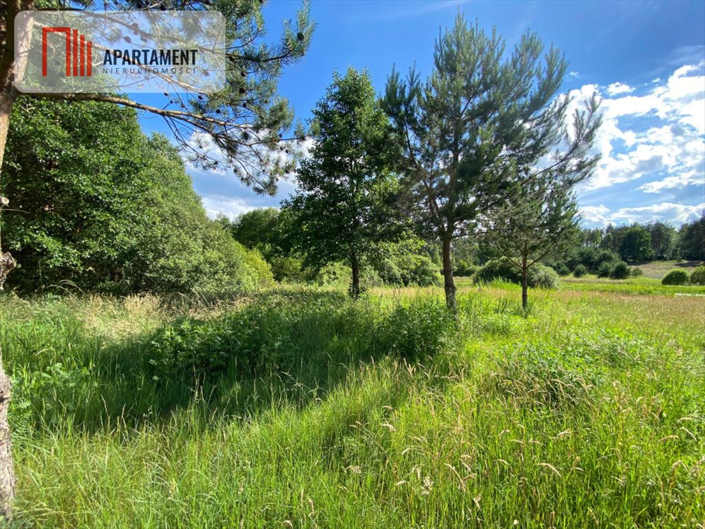 Działka rolna 11 510 m² z możliwością stawu i rekreacji Nowa Kiszewa  11 510m2 Foto 1