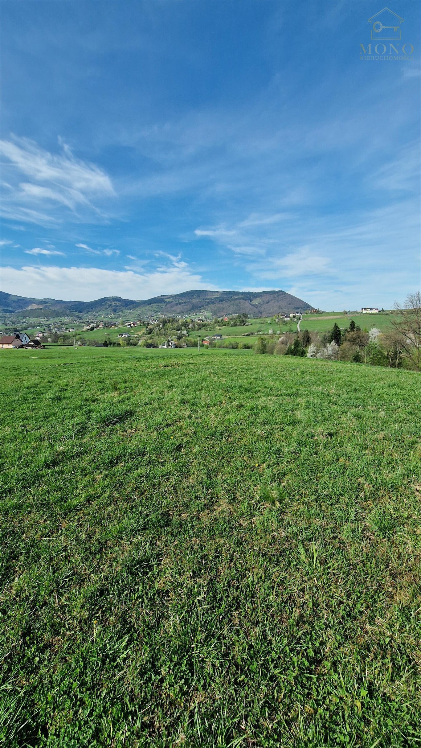 Działka rolna na sprzedaż Krasne Potockie  8 200m2 Foto 14