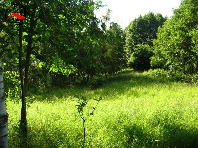 Działka rekreacyjna na sprzedaż Korzecznik  16 300m2 Foto 4