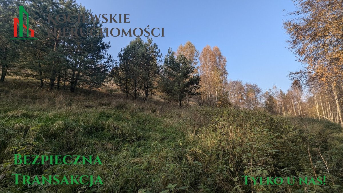 Działka siedliskowa na sprzedaż Głodowo  1 785m2 Foto 6