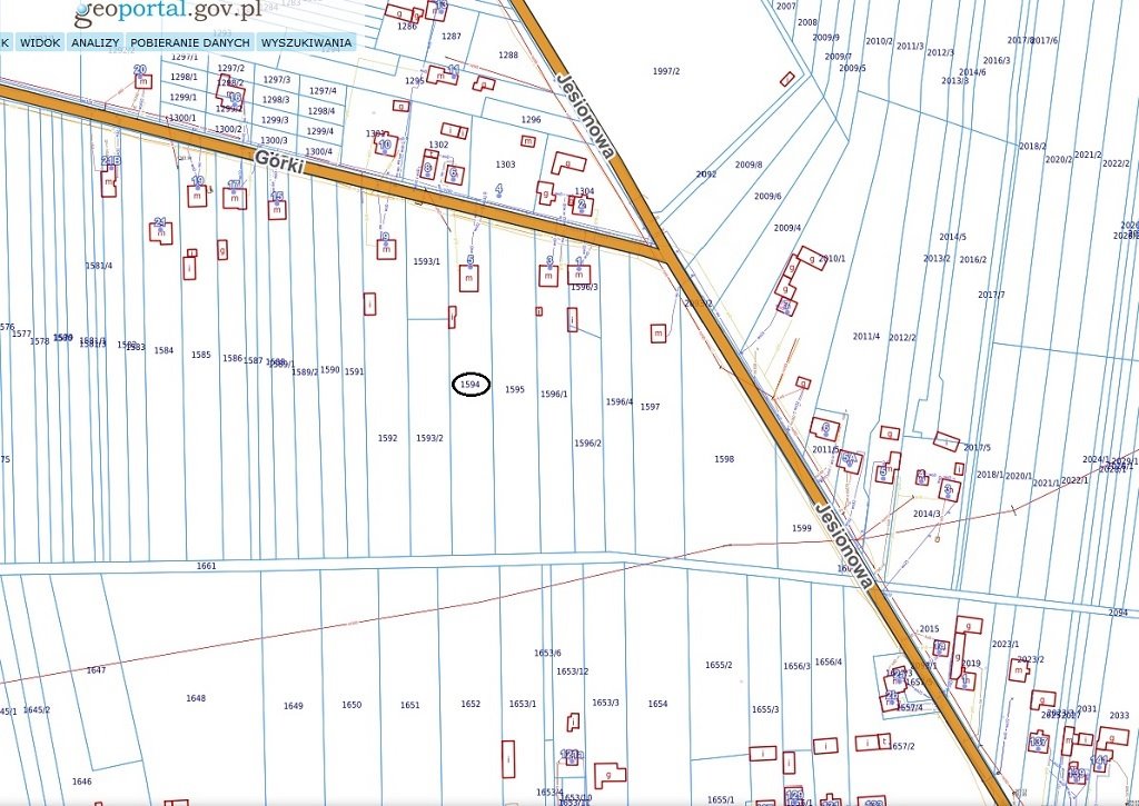 Działka budowlana na sprzedaż Dąbrowa Górnicza, Błędów, Górki  4 520m2 Foto 6