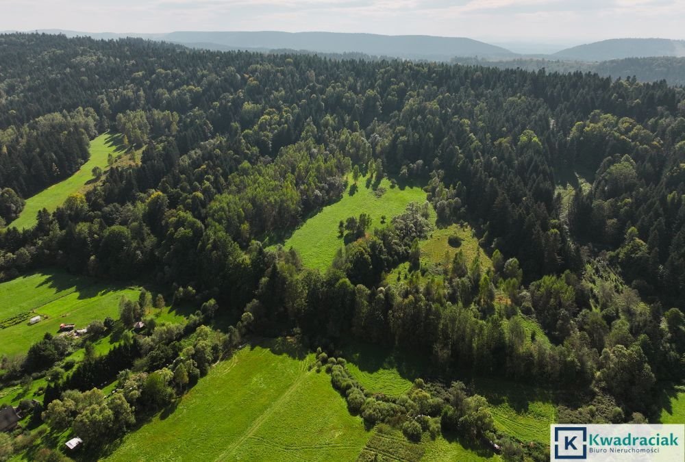 Działka rolna na sprzedaż Ropienka, Ropienka Dolna  37 796m2 Foto 3