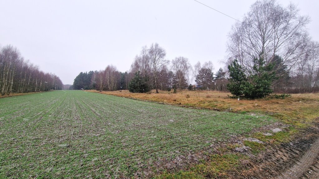 Działka budowlana na sprzedaż Smyków, Prosta  19 000m2 Foto 8