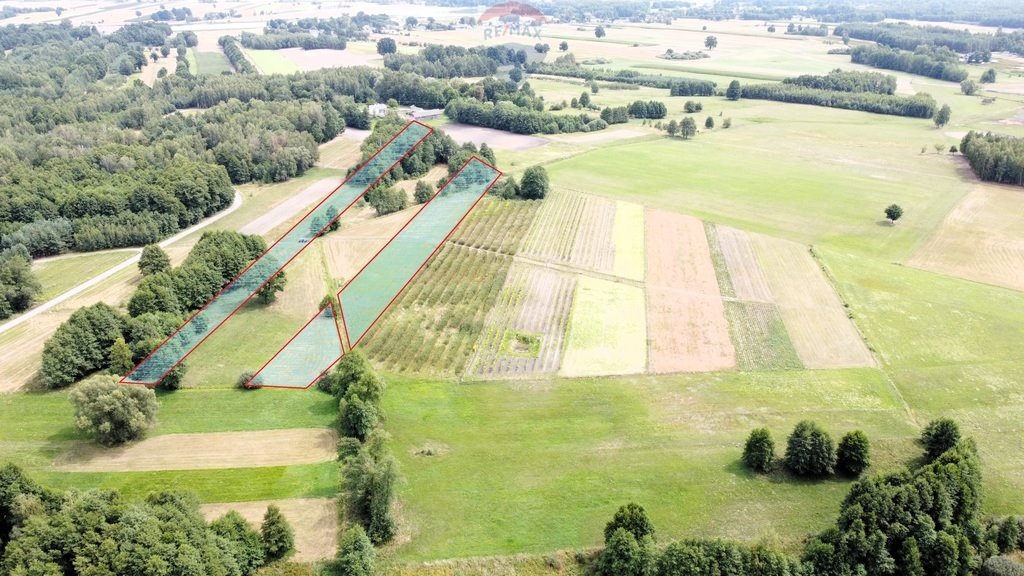 Działka rolna na sprzedaż Ostrownica  18 000m2 Foto 1