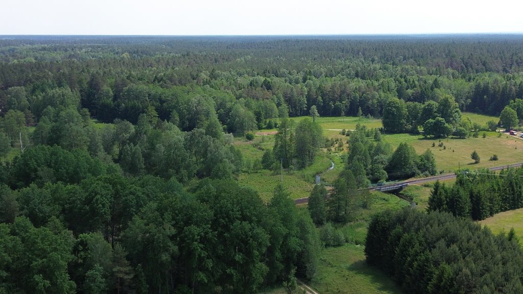 Działka rolna na sprzedaż Augustów  20 000m2 Foto 5