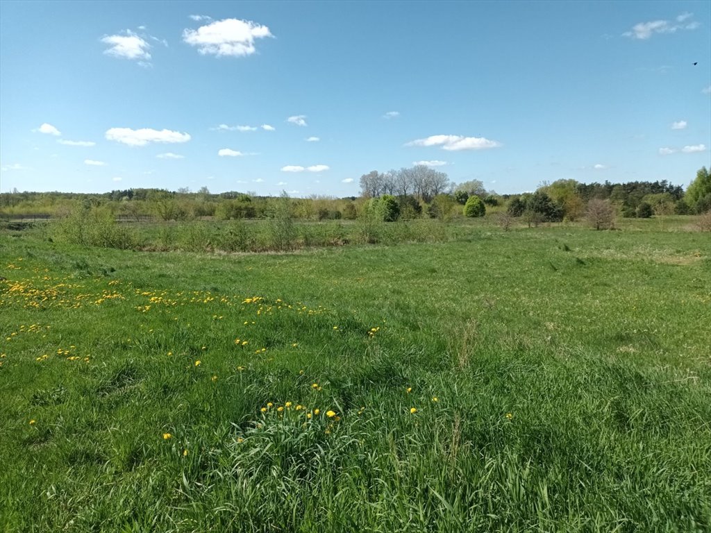 Sprzedam działkę rekreacyjną 4681 m² nad rzeką Wkrą w Sochocin Sochocin  4 681m2 Foto 1