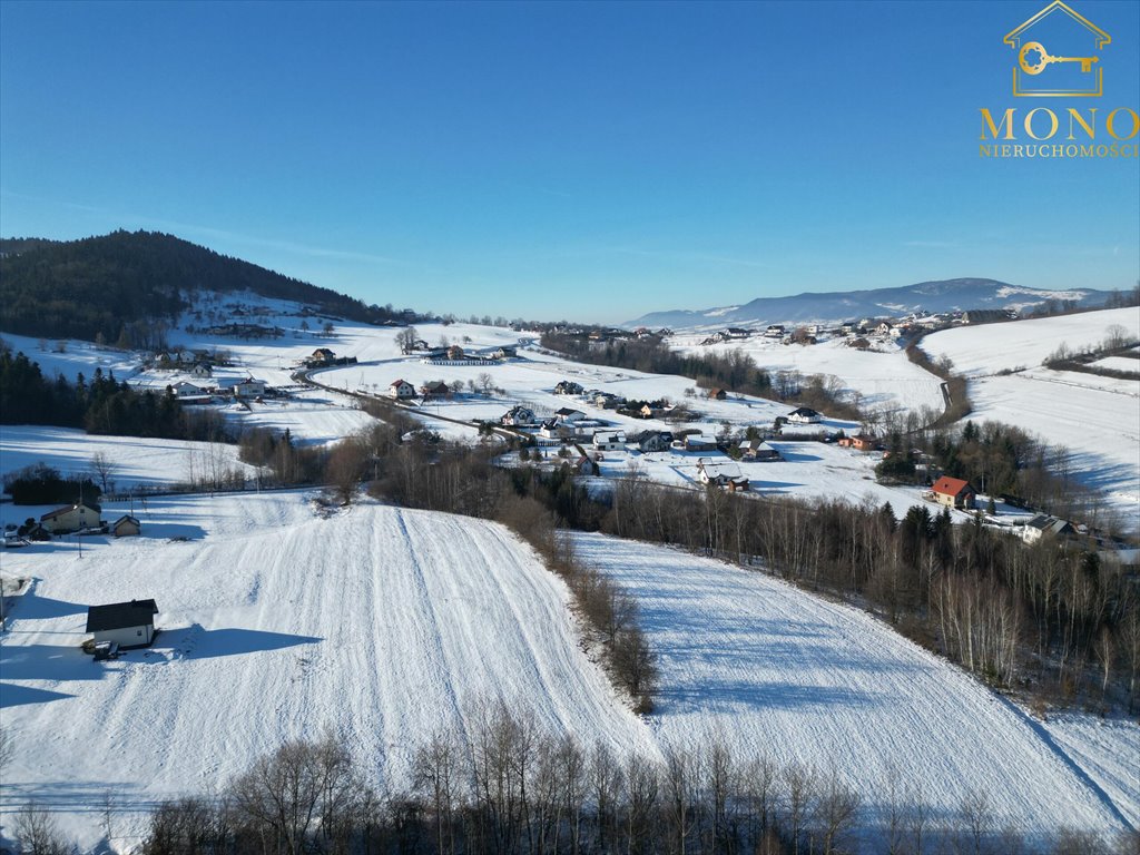 Działka budowlana na sprzedaż Krasne Potockie  4 200m2 Foto 9