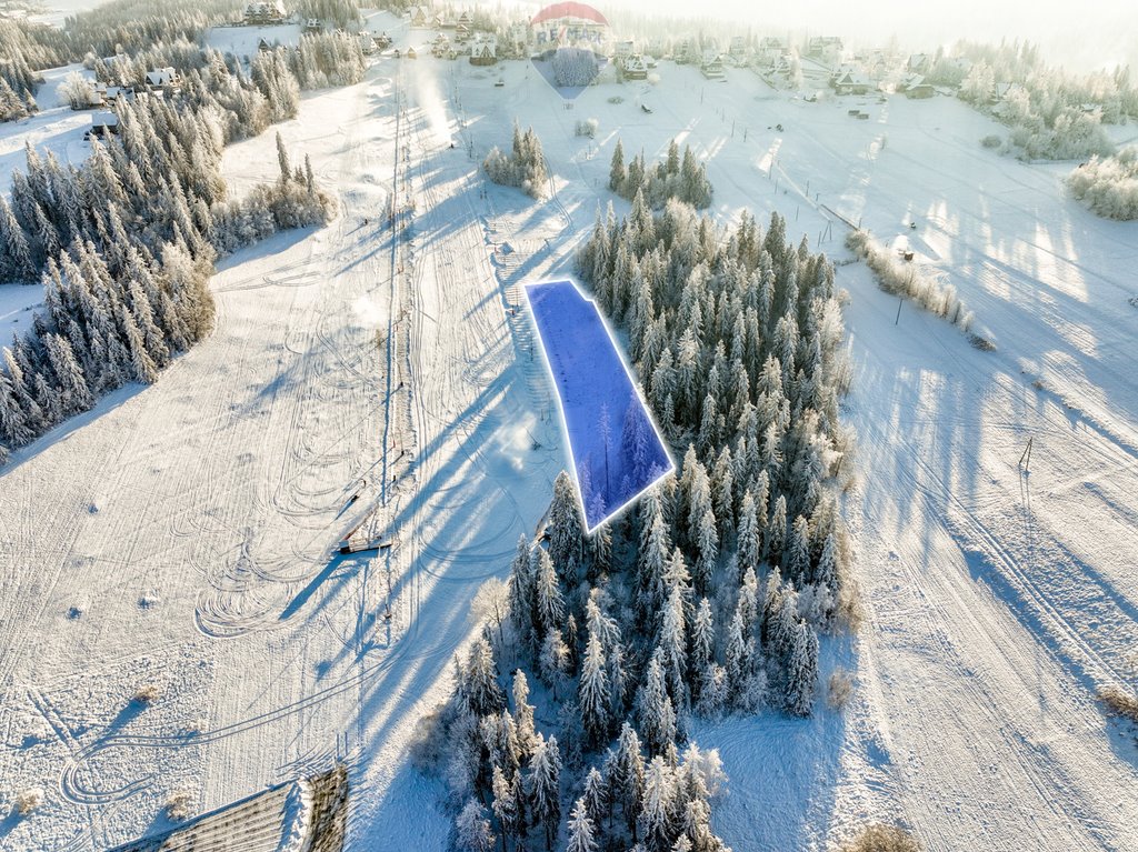 Działka rolna na sprzedaż Bukowina Tatrzańska  7 839m2 Foto 2