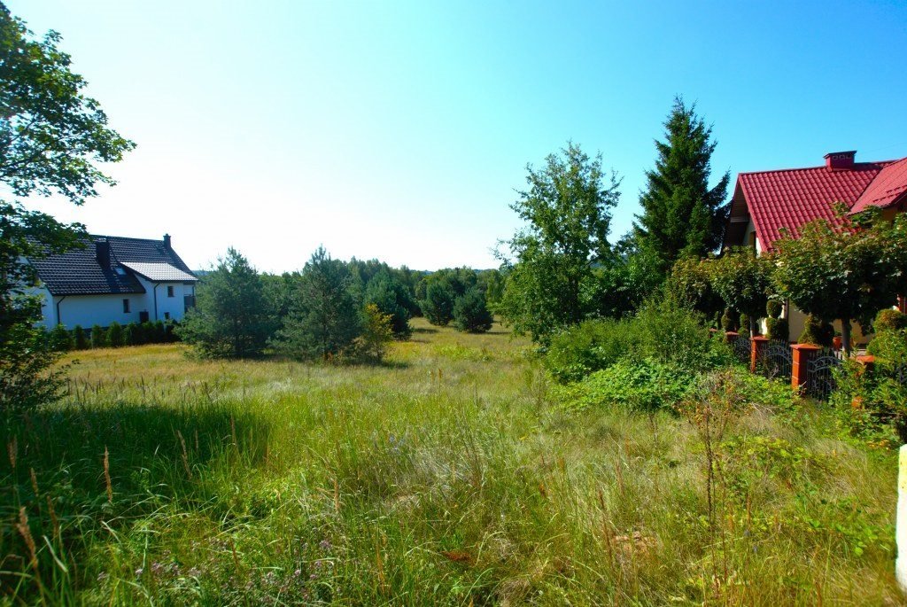 Działka budowlana na sprzedaż Umer  8 680m2 Foto 6