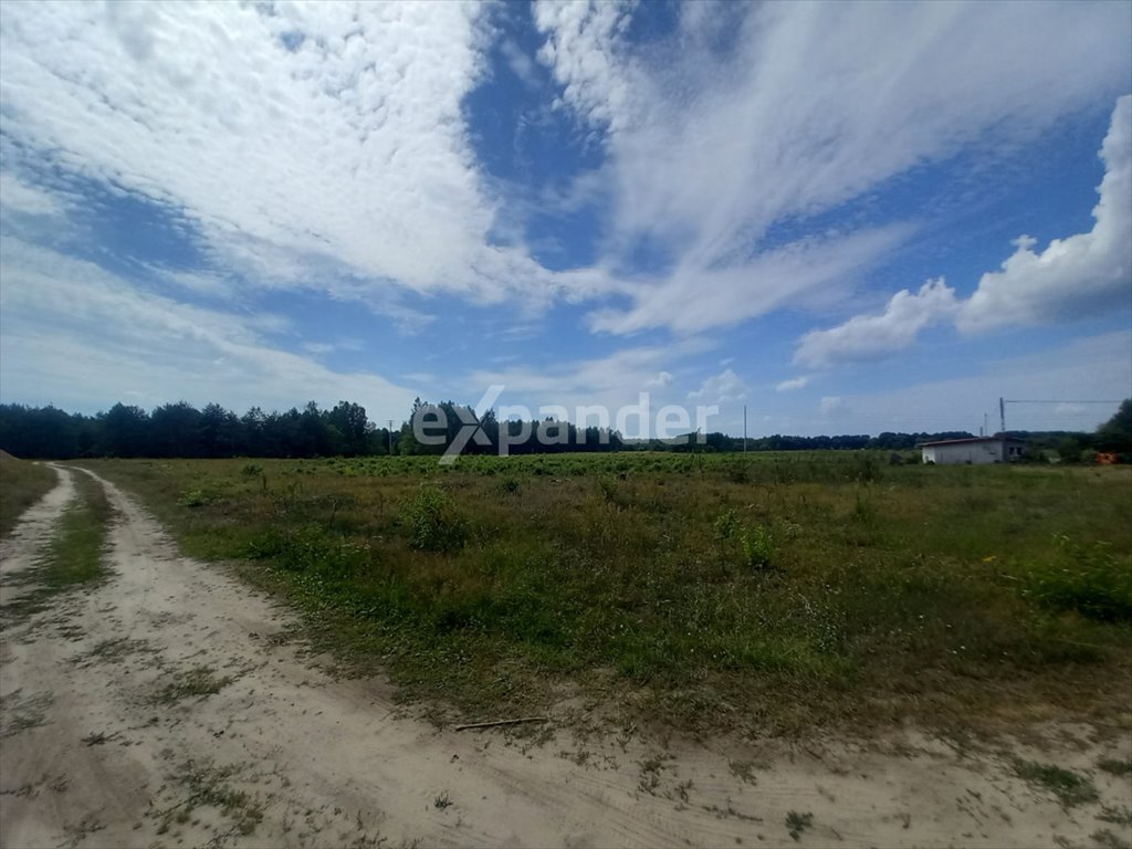 Działka budowlana na sprzedaż Likiec  104 900m2 Foto 5