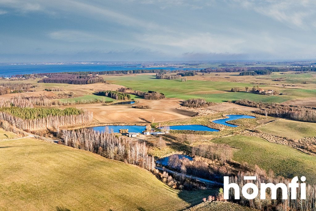 Działka leśna na sprzedaż Rydzewo, Niegocińska  11 217m2 Foto 5