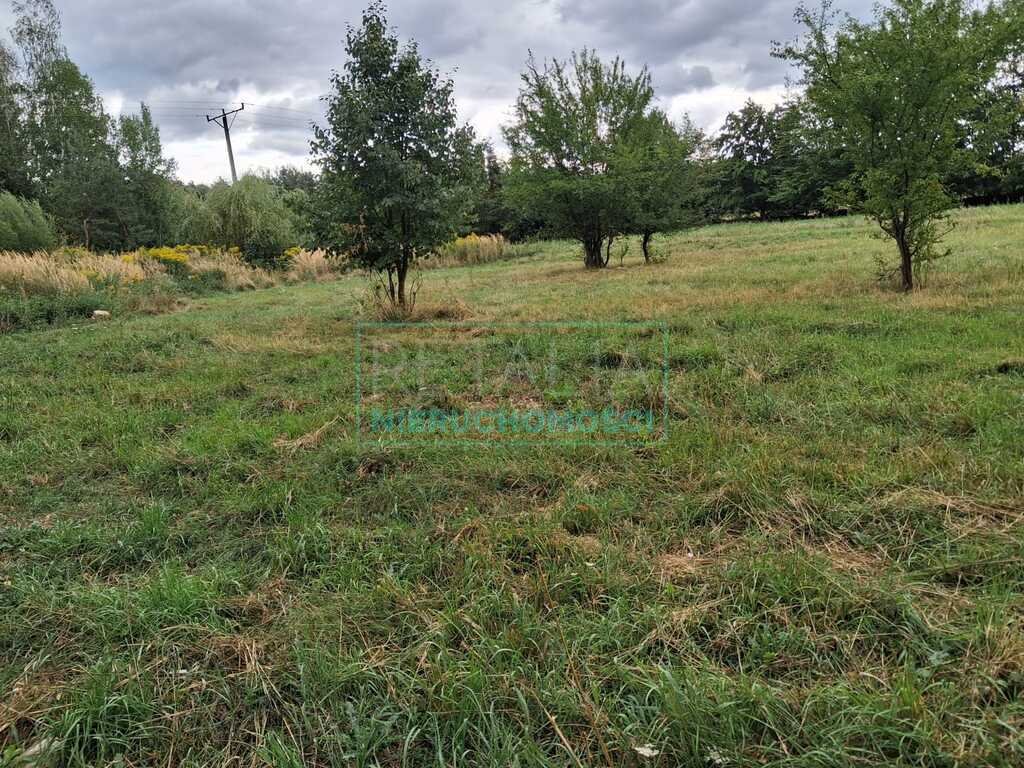 Działka 2400 m² pod dom jednorodzinny, media, lasy Kuranów  2 400m2 Foto 1