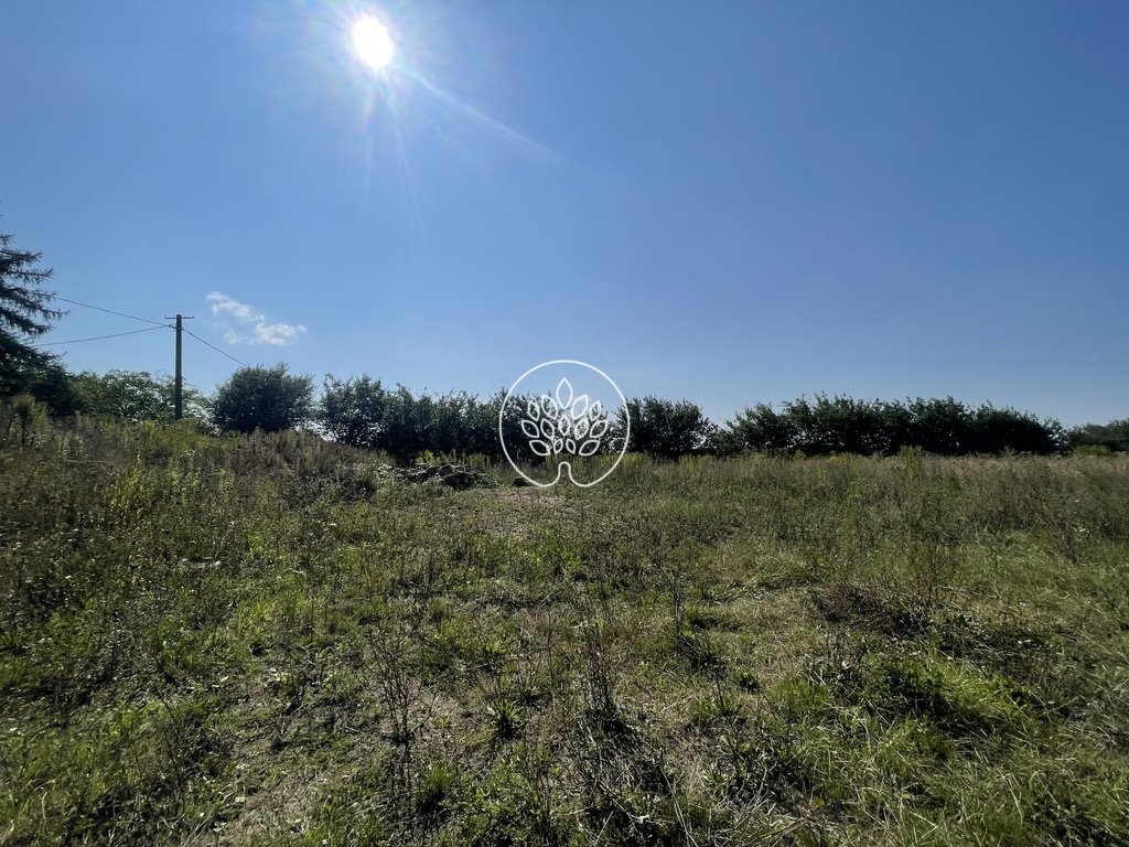 Działka inna na sprzedaż Osielsko  6 500m2 Foto 1