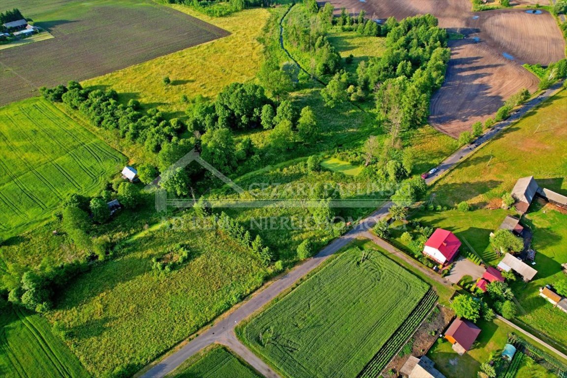 Działka inwestycyjna na sprzedaż Dobratycze-Kolonia, Terespol, Dobratycze-Kolonia  3 960m2 Foto 3