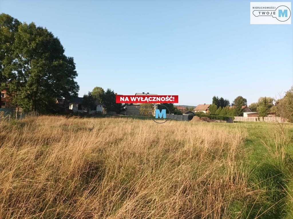 Działka budowlana na sprzedaż Bieliny, Bieliny  2 587m2 Foto 4