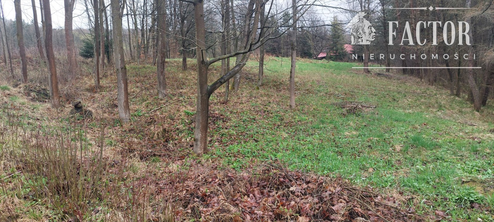 Działka 30 a w Kunkowej z prądem i wodą, cicha okolica Kunkowa  3 000m2 Foto 1