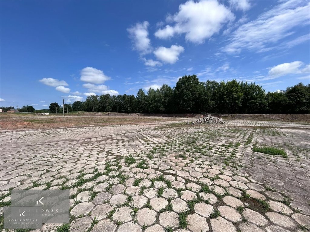 Działka inna na sprzedaż Pokój, gmina Pokój  5 000m2 Foto 5