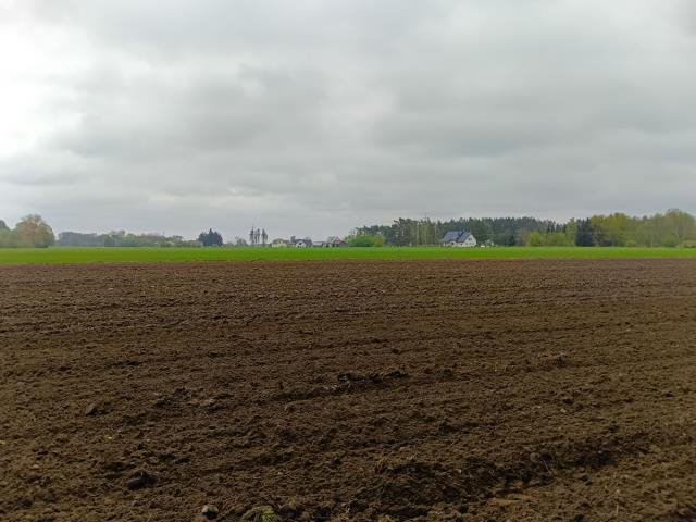 Działka rolna na sprzedaż Smogorzewo Pańskie  58 800m2 Foto 7