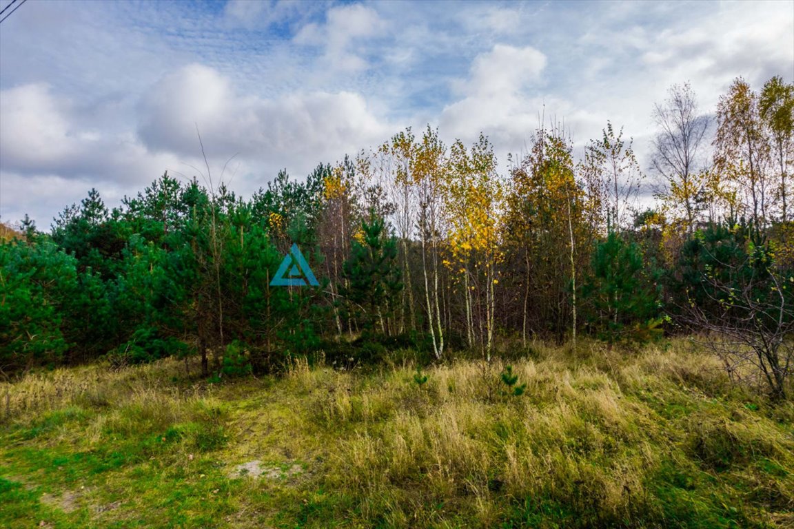 Działka budowlana na sprzedaż Gołubie  2 282m2 Foto 3