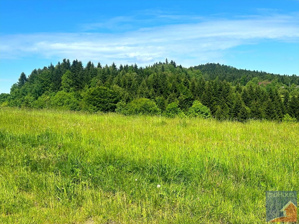 Działka 5200 m² z widokiem, pod rekreację i zabudowę Zawadka  5 200m2 Foto 1