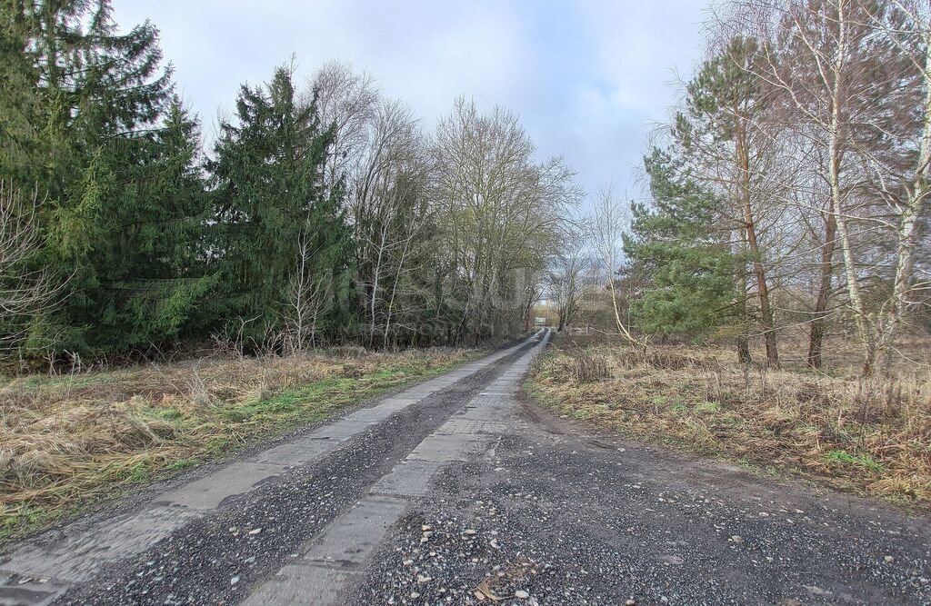 Działka rolna na sprzedaż Wąwelnica  1 191m2 Foto 11