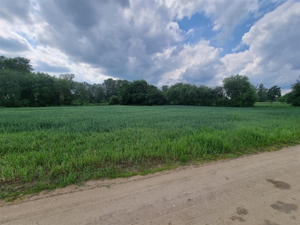 Działka rekreacyjna 4157 m² z mediami, podział na 4 działki Bodzanów, Kępska  4 157m2 Foto 1