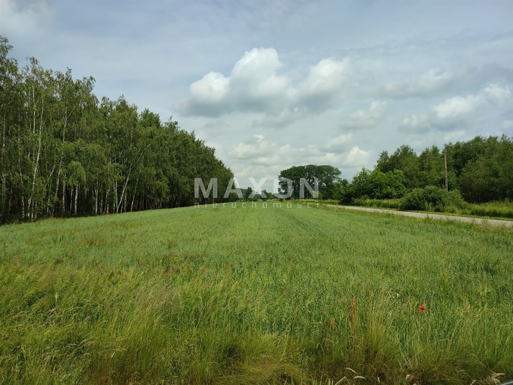 Działka budowlana na sprzedaż Nieborów, Zachodnia  8 000m2 Foto 8