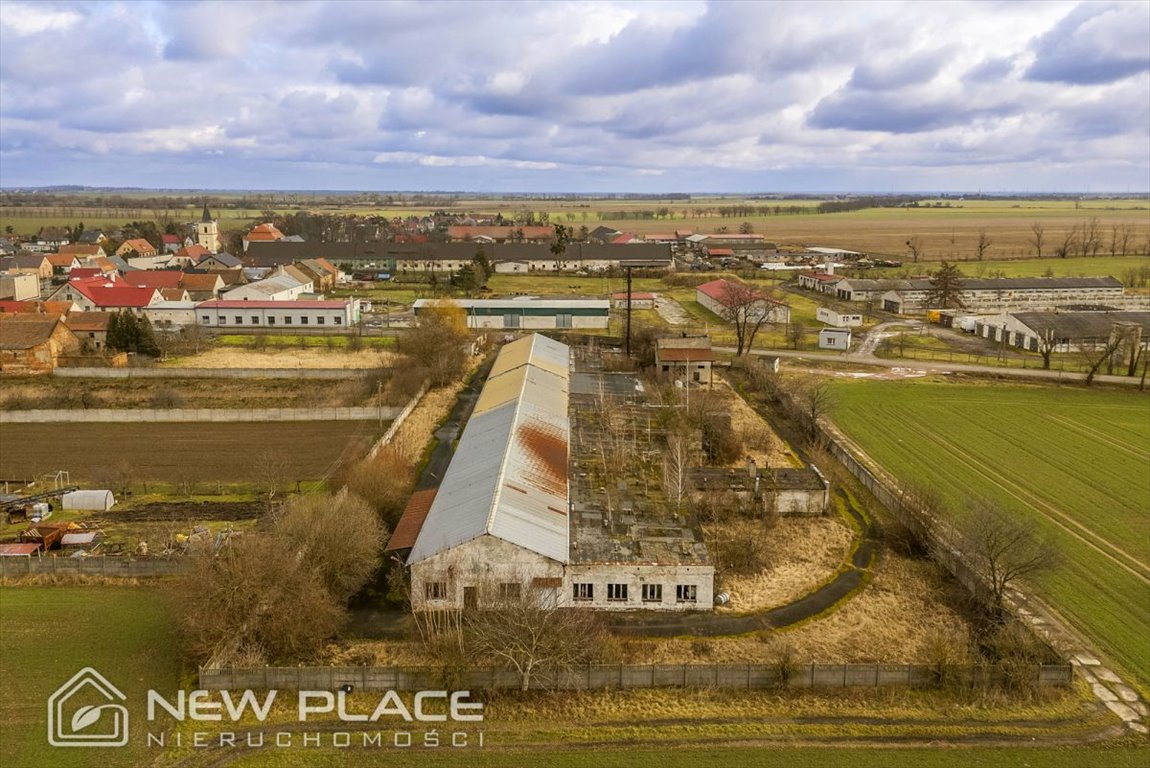 Magazyn na sprzedaż Jankowice Wielkie  2 052m2 Foto 3