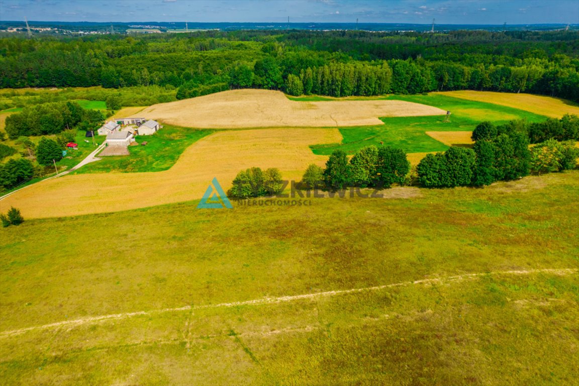 Działka budowlana na sprzedaż Nowa Wieś Przywidzka  1 216m2 Foto 7