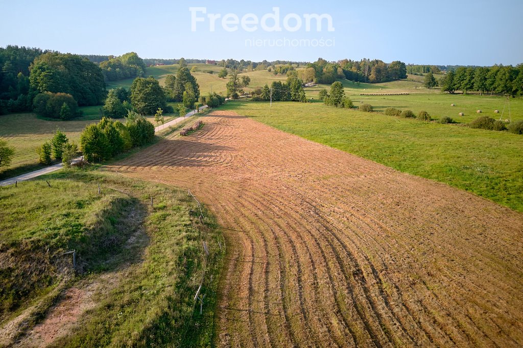 Działka budowlana na sprzedaż Lipowo  38 700m2 Foto 10