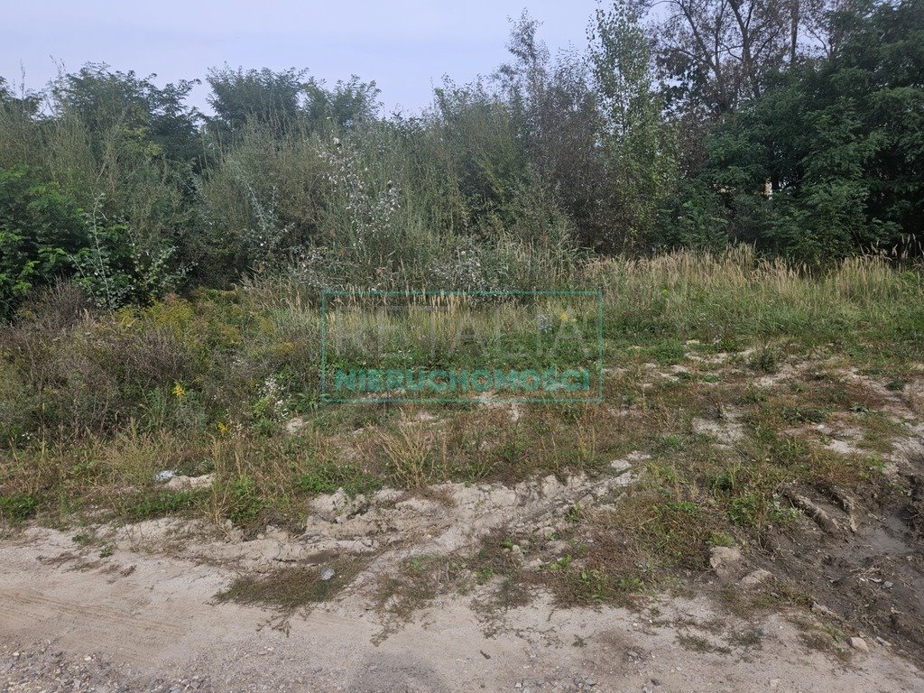 Działka budowlana na sprzedaż Grodzisk Mazowiecki  2 700m2 Foto 7