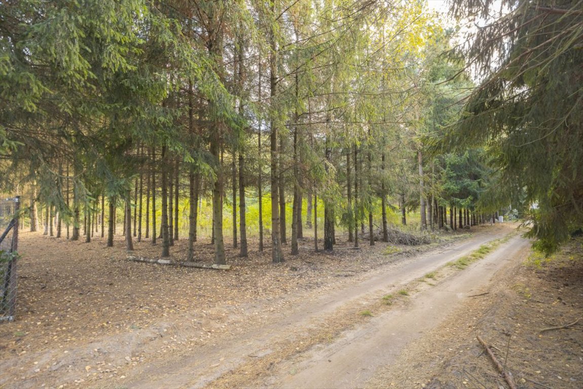 Działka budowlana na sprzedaż Ojrzanów, Jabłoniowa  3 177m2 Foto 4