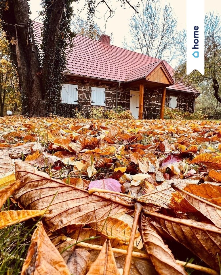 Dom na sprzedaż Czarnybród  250m2 Foto 5