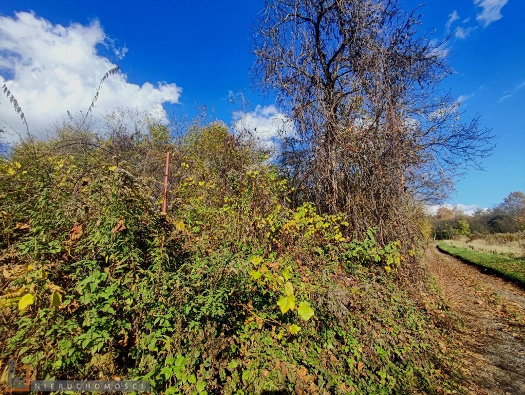 Działka budowlana na sprzedaż Trojanowice  2 600m2 Foto 3