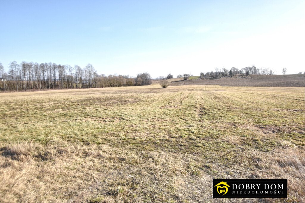 Działka inwestycyjna 40 367 m² przy S8 – atrakcyjna oferta Pajewo  40 367m2 Foto 1