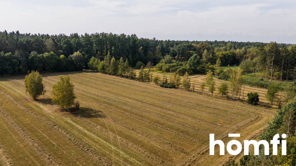 Działka budowlana na sprzedaż Makowiec, Gajowa  10 500m2 Foto 10