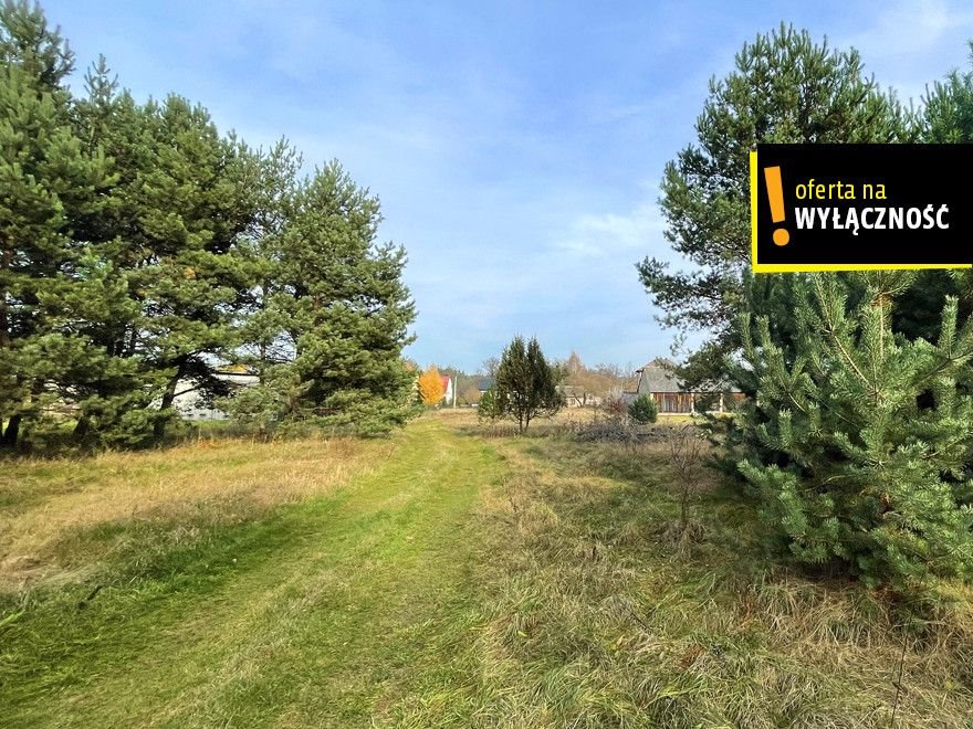 Działka 16 500 m² z możliwością budowy i zalesieniem Marzysz  16 500m2 Foto 1