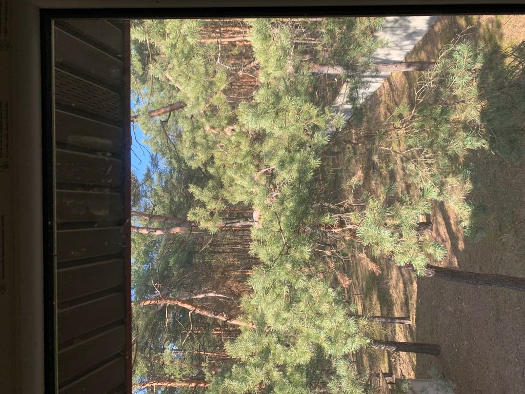 Lokal użytkowy na wynajem Józefów  2 200m2 Foto 9