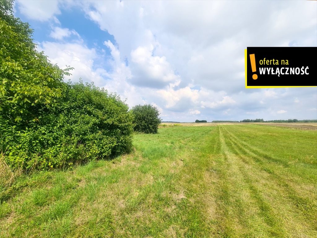 Działka 8600m² z MPZP, budowlana i rolna, podział możliwy Lipa  8 600m2 Foto 1