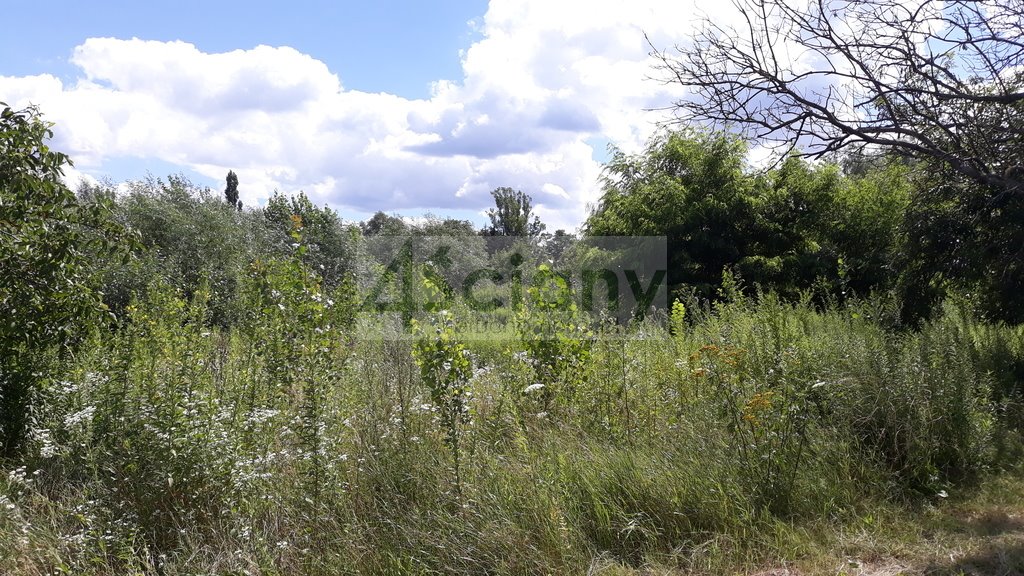 Działka w Komorowie 1200 m2 z mediami i MPZP Komorów  1 200m2 Foto 1