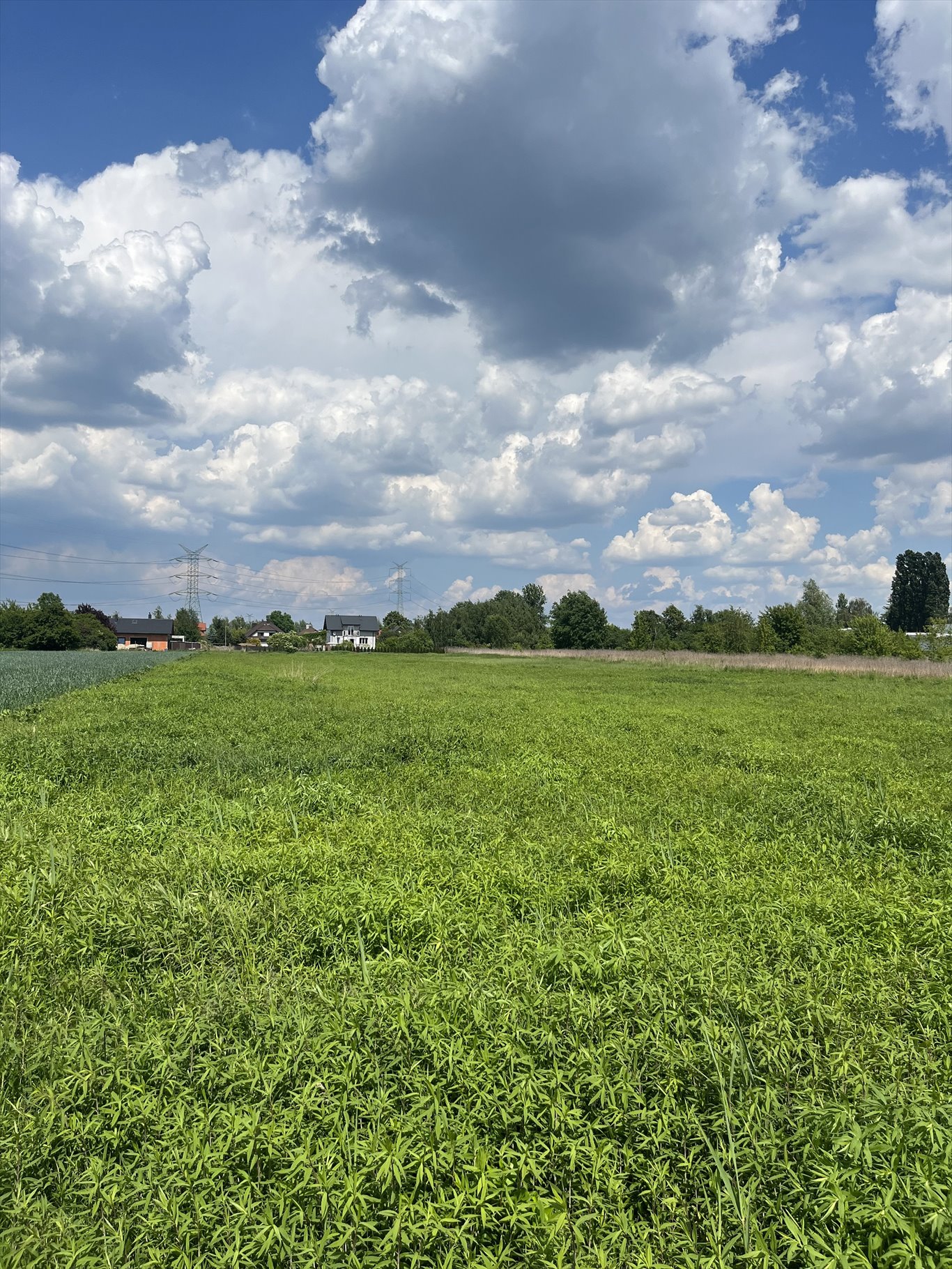 Działka budowlana na sprzedaż Stare Babice, Koczarska  1 600m2 Foto 10