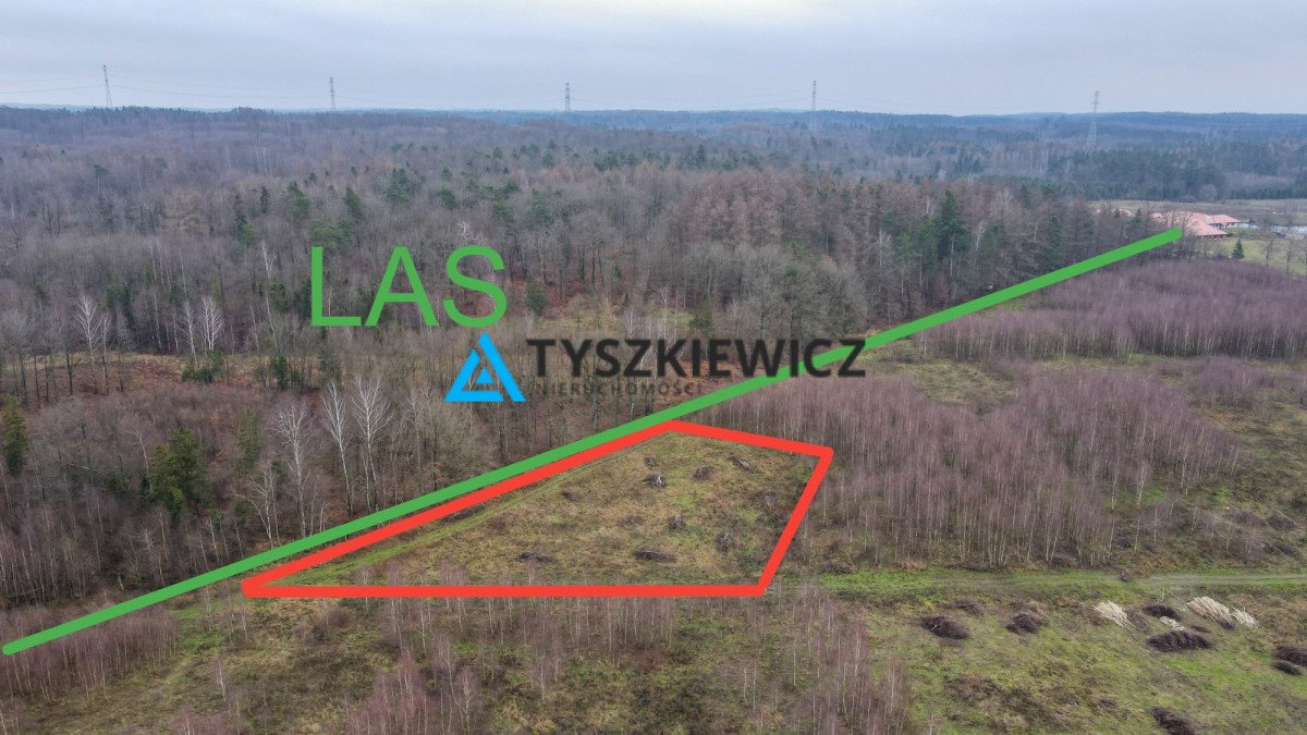 Działka budowlana na sprzedaż Borcz  3 120m2 Foto 1