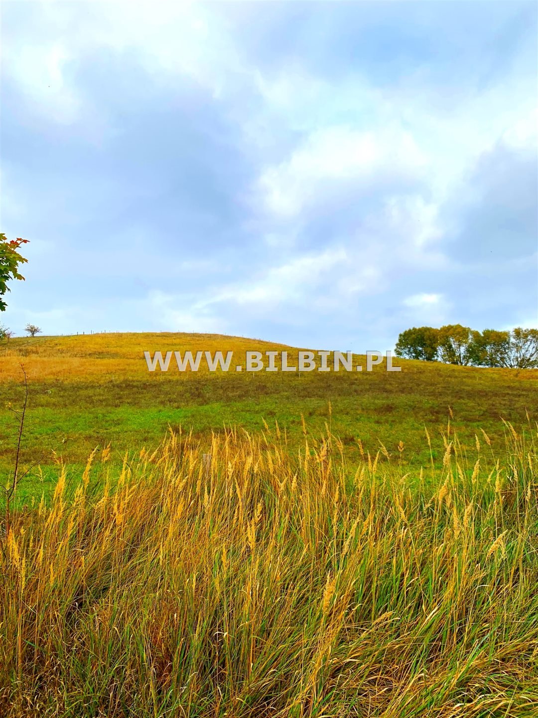 Działka inna na sprzedaż Kleszczówek  3 100m2 Foto 6