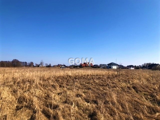 Działka pod zabudowę zagrodową w Dębe Wielkie, 7191 m2 Dębe Wielkie  7 191m2 Foto 1