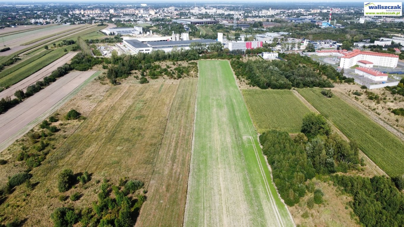 Działka budowlana na sprzedaż Piotrków Trybunalski, Wronia  24 900m2 Foto 3