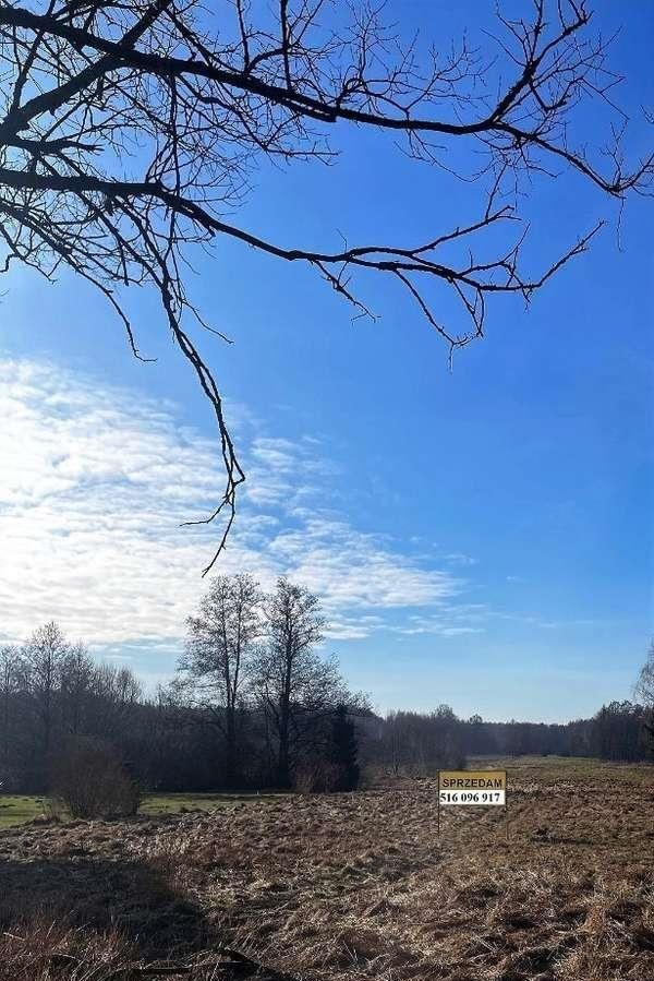 Działka budowlana na sprzedaż Wiśniew  3 100m2 Foto 8